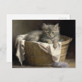 Carte Postale Lave-linge Ou Portrait De Kitten Gris En Temps De  (Devant / Derrière)