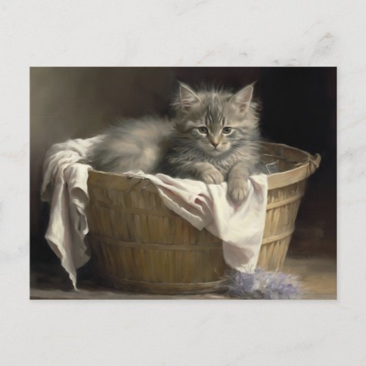 Carte Postale Lave-linge Ou Portrait De Kitten Gris En Temps De  (Devant)