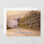 Carte postale Lavendar (Devant / Derrière)