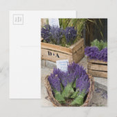 Carte Postale Lavendar for sale, Provence, France (Devant / Derrière)