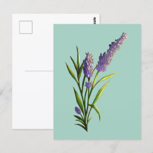 Carte postale Lavender