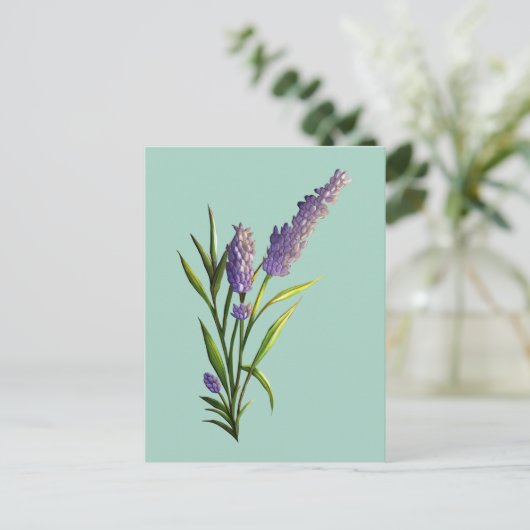 Carte postale Lavender (Debout devant)