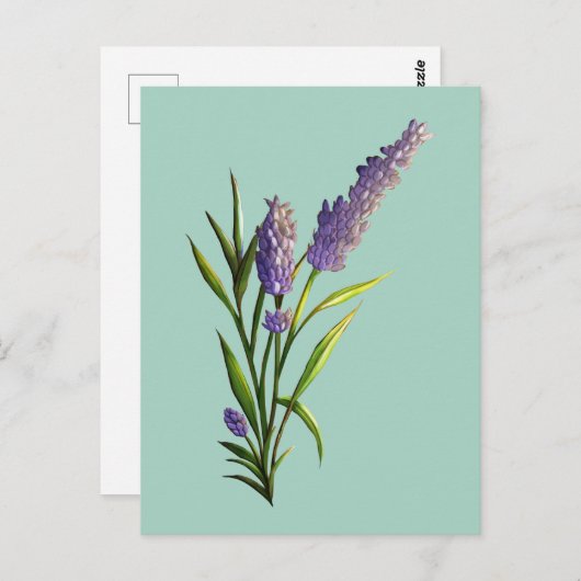 Carte postale Lavender (Devant / Derrière)