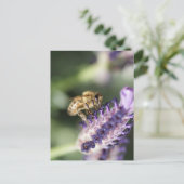 Carte Postale Lavender Bee (Debout devant)