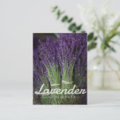 Carte Postale Lavender Bunch (Debout devant)
