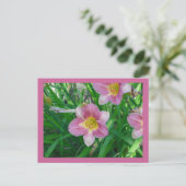 Carte Postale Lavender Daylilies (Debout devant)