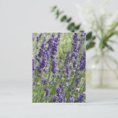 Carte postale Lavender Flowers (Debout devant)