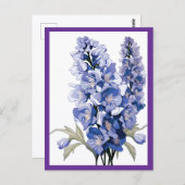 CARTE POSTALE LAVENDER FLOWERS #1 (Devant / Derrière)