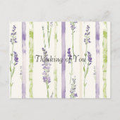 Carte Postale Lavender Green Stripes Floral Thinking of You (Devant)
