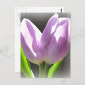 Carte postale Lavender Tulips (Devant / Derrière)