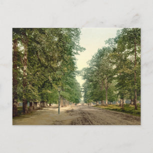Carte Postale L'Avenue, Southampton, Hampshire, Angleterre