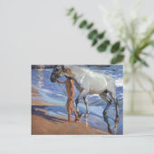 Carte Postale Laver le cheval (Debout devant)