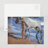 Carte Postale Laver le cheval (Devant / Derrière)