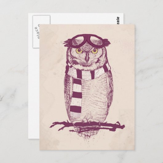 Carte Postale L'aviateur (Devant / Derrière)