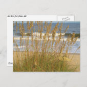 Carte Postale L'avoine marine (Devant / Derrière)