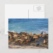 Carte Postale Lazing On A Sunny Afternoon (Devant / Derrière)