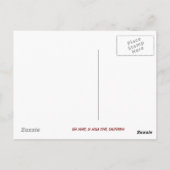 Carte Postale Lazing On A Sunny Afternoon (Dos)