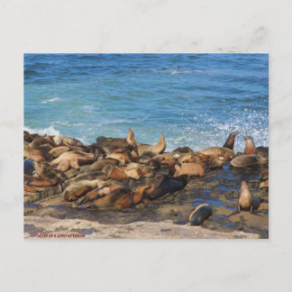 Carte Postale Lazing On A Sunny Afternoon