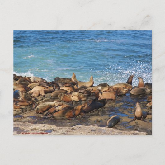 Carte Postale Lazing On A Sunny Afternoon (Devant)