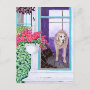Carte Postale Lazy Afternoon Labradors Peinture