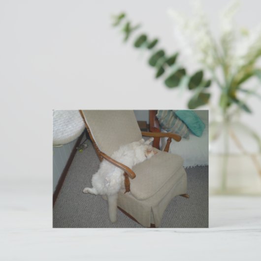 Carte Postale Lazy Cat (Debout devant)