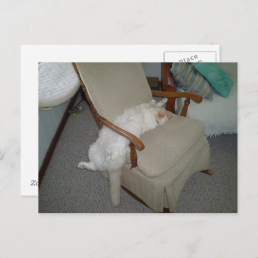Carte Postale Lazy Cat (Devant / Derrière)