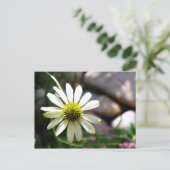 Carte postale Lazy Daisy Summer Day (Debout devant)