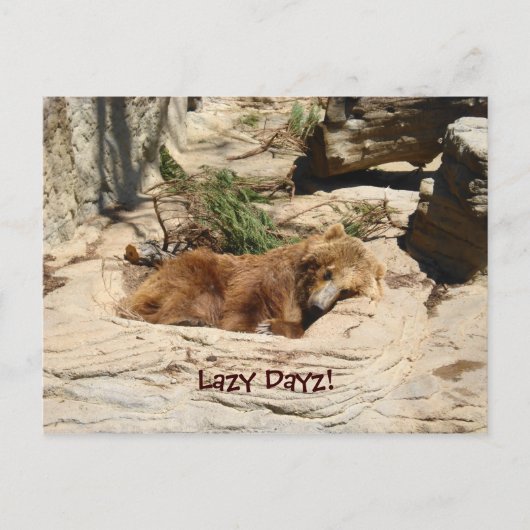 Carte Postale Lazy Dayz Bear (Devant)