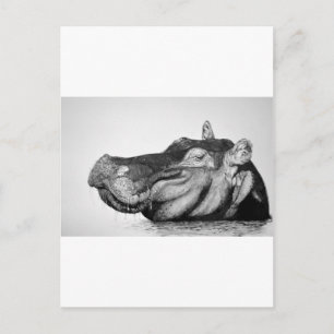 Carte Postale Lazy Hippo