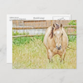 Carte Postale Lazy Morning (Devant / Derrière)