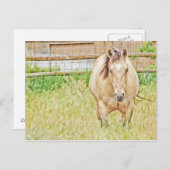 Carte Postale Lazy Morning (Devant / Derrière)