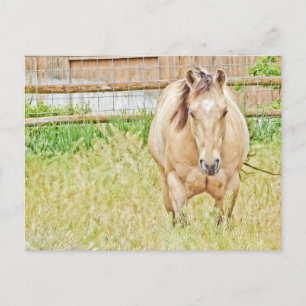 Carte Postale Lazy Morning