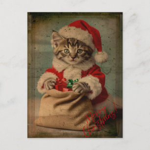 Carte Postale Le 'Bâillement de Noël' Kitten Élégant de Noël