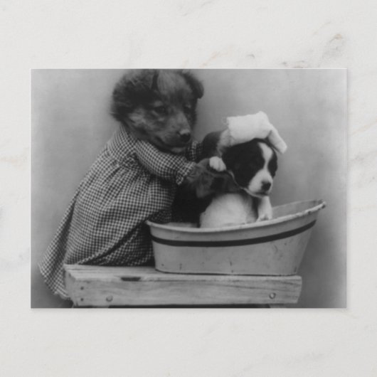 Carte Postale Le Bain (Devant)