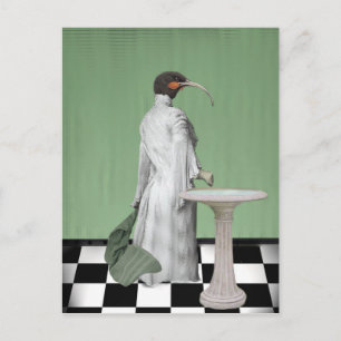 Carte Postale Le bain de la dame