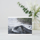 Carte Postale Le baiser (Debout devant)