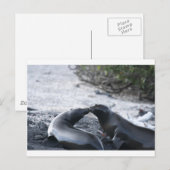 Carte Postale Le baiser (Devant / Derrière)