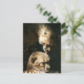 Carte Postale Le baiser (Debout devant)