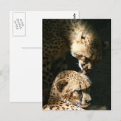 Carte Postale Le baiser (Devant / Derrière)