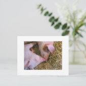 Carte Postale Le baiser (Debout devant)