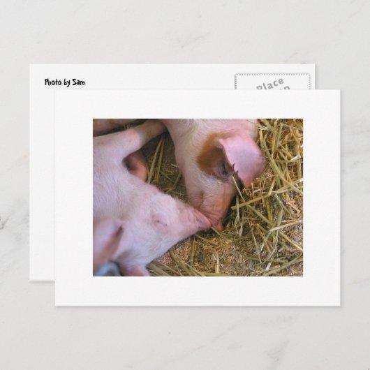 Carte Postale Le baiser (Devant / Derrière)