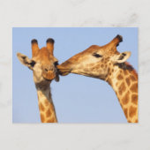 Carte Postale Le baiser (Devant)