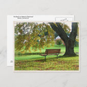 Carte Postale Le Banc sur Memorial Boulevard, Bristol CT (Devant / Derrière)