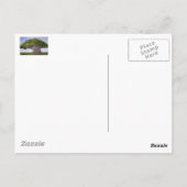 Carte Postale Le banian de MacArthur (Dos)