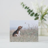 Carte Postale Le Beagle (Debout devant)