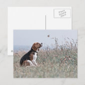 Carte Postale Le Beagle (Devant / Derrière)