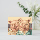 Carte Postale Le beau couple de cochon (Debout devant)