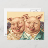 Carte Postale Le beau couple de cochon (Devant / Derrière)