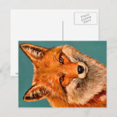 Carte Postale Le beau renard. (Devant / Derrière)