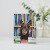 Carte Postale Le bibliothécaire (Debout devant)